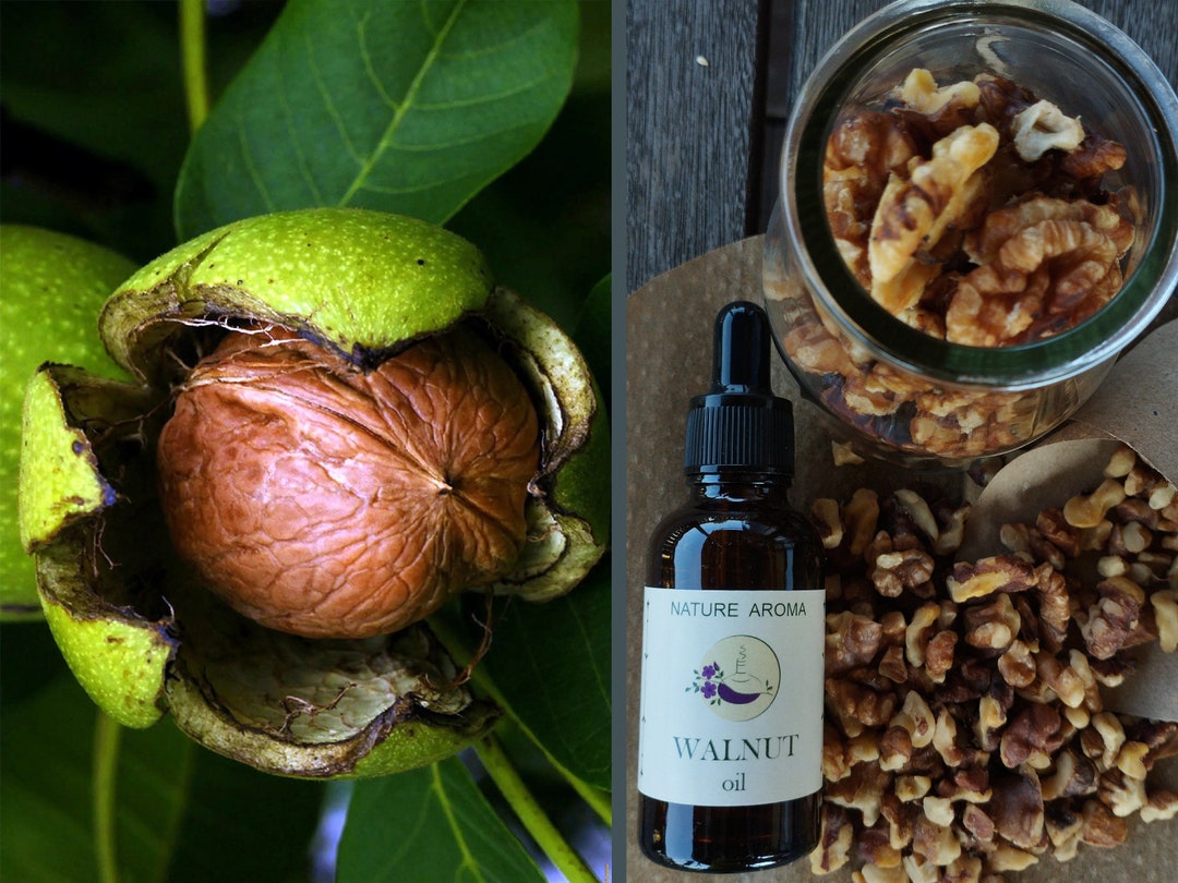Dr. Adorable Premium Walnut Oil – Unrefined, Organic, Cold Pressed – 100% Pure For Skin, Hair & Massage