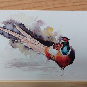 Fasan Aquarell Kunstdruck, heimischer Vogel