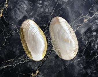 Shell Display Plate. Natural Whole Shell Fruit Dish Decorative Display Plate Large Mussel Shell Fruit Plate Snack Plate.