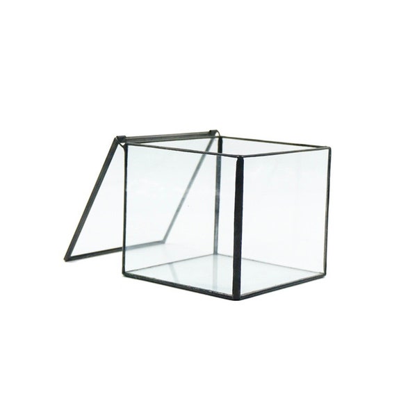 Terrarium carré en verre (sans plantes) - Récipient en verre