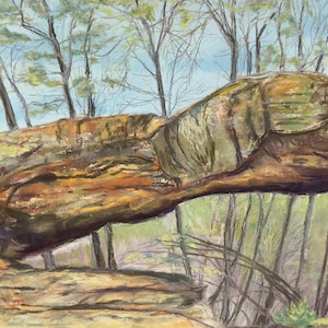 Princess Arch - Red River Gorge, Kentucky Fine Art Print by Artist Jennifer Millard