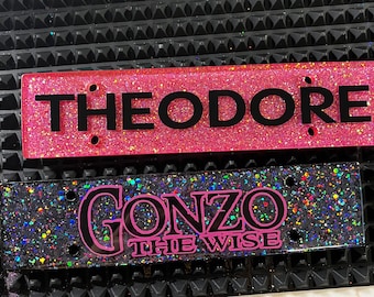 May include: Two pink and black glitter nameplates. The top nameplate says "THEODORE" in black letters. The bottom nameplate says "GONZO THE WISE" in pink letters.