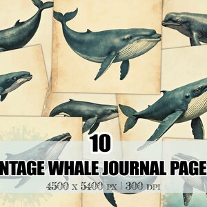 Vintage Blue Whale Junk Journal Pages – Nautical Grunge Art Kit, Distressed Paper Backgrounds, Instant Download for Scrapbooking