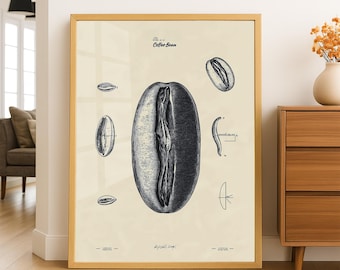 Vintage Kaffeebohnen-Illustration – Druckbare Wandkunst – Digitaler Download in A1, A2, A3, A4 Größen