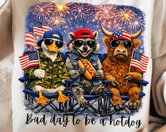 PNG patriótico y divertido del 4 de julio, PNG de mapache y ganso divertido, diseño retro del 4 de julio, diseño de camiseta con la bandera estadounidense, sublimación divertida del 4 de julio