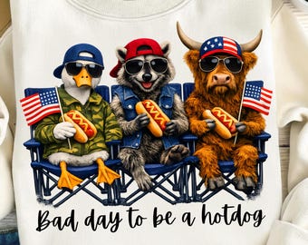 PNG patriótico divertido, PNG de ganso del 4 de julio, PNG divertido del 4 de julio, PNG retro patriótico del 4 de julio, Lindo ganso americano, Archivo digital