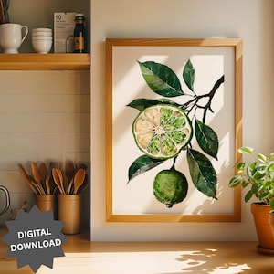 Watercolor Lime Print, Citrus Fruit Wall Art, Kitchen Decor Printable, Green Botanical Art, Lime Slice Illustration, Digital Download