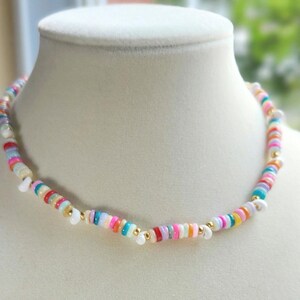 Multicolor Seashell Necklace