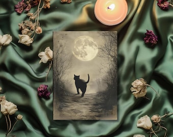Black Cat Journal: Full Moon Poem Notebook, Cat Lover Gift