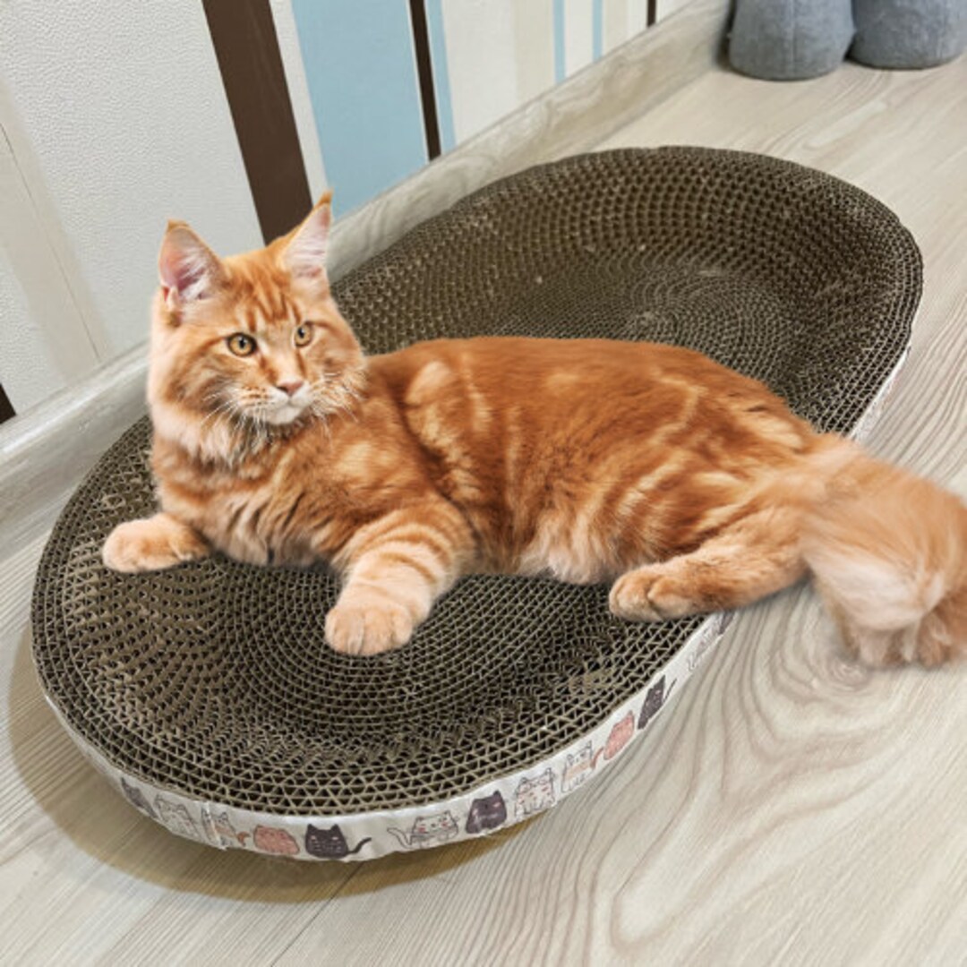 Round and Oval Corrugated Cat Scratcher and Bed Wearresistant Claw