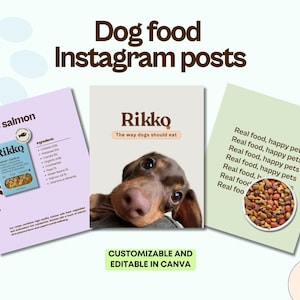 Plantillas de Instagram para perros / Publicaciones editables en Canva para negocios de comida para mascotas