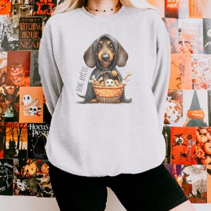 May include: A light grey sweatshirt with a dachshund wearing a hooded cloak and holding a basket of bones and a skull. The words "BONE APPETIT" are printed on the side. The design has a Halloween theme.