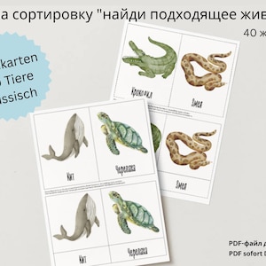 Animals Montessori learning cards - Animal picture cards - Learn through play - DIY - PDF download - Toddler learning Russian