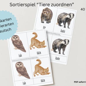 Cartes d'apprentissage Montessori Animaux - Cartes illustrées d'animaux - Apprentissage ludique - Bricolage - Téléchargement PDF - Apprentissage des tout-petits - Éducation de la petite enfance - École maternelle