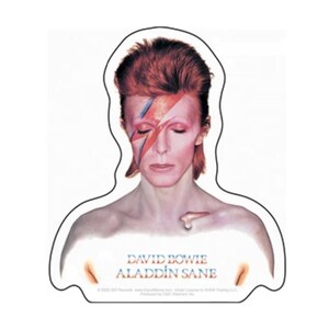 David Bowie Aladdin Sane Sticker B029S