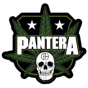 Pantera Skull Sticker P016S Decal