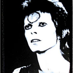 David Bowie Starman Woven Patch B010P