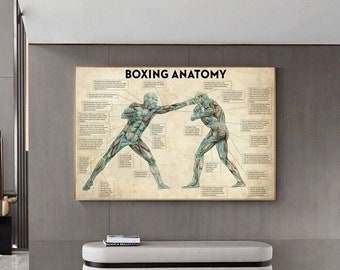 Boxing Anatomy Vintage Canvas Prints Educational Decorative Art for Gym Rooms and Sport Lovers