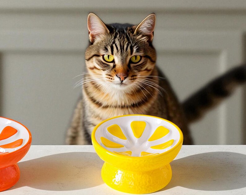 May include: A yellow and white ceramic cat bowl shaped like a lemon, with a matching orange bowl visible. A tabby cat with yellow eyes is in the background, looking at the bowls. The bowls are on a white surface.