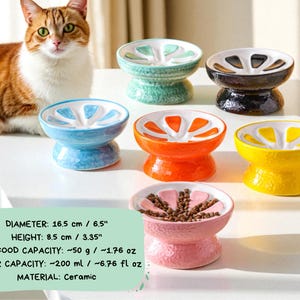 May include: A collection of ceramic pet bowls in various colors, including blue, green, black, orange, yellow, and pink. Each bowl features a citrus fruit design. The bowls are approximately 6.5 inches in diameter and 3.35 inches high. The dry food capacity is about 1.76 oz.