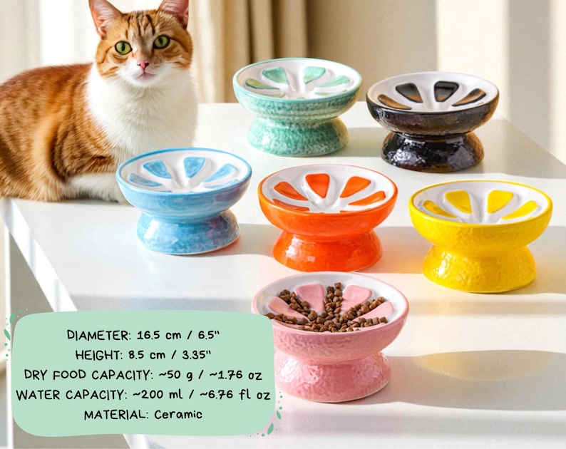 May include: A collection of ceramic pet bowls in various colors, including blue, green, black, orange, yellow, and pink. Each bowl features a citrus fruit design. The bowls are approximately 6.5 inches in diameter and 3.35 inches high. The dry food capacity is about 1.76 oz.