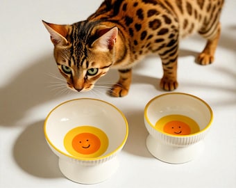 Tigela elevada de cerâmica pintada à mão para gatos: tigela anti-vômito inclinada para animais de estimação