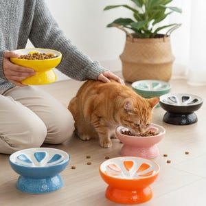May include: A collection of colorful ceramic cat food bowls in yellow, pink, blue, orange, green, and black. The bowls have a unique design with a raised base and a segmented top. An orange tabby cat eats from a pink bowl.