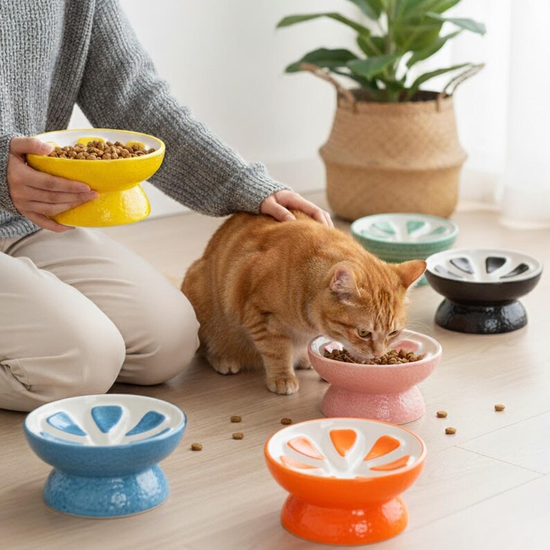 May include: A collection of colorful ceramic cat food bowls in yellow, pink, blue, orange, green, and black. The bowls have a unique design with a raised base and a segmented top. An orange tabby cat eats from a pink bowl.