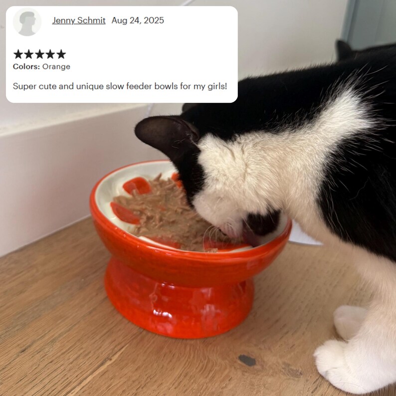 May include: An orange slow feeder bowl with a white interior, filled with food, is being eaten by a black and white cat. The bowl has a pedestal base and a design to slow down eating. The text in the image says "Colors: Orange".