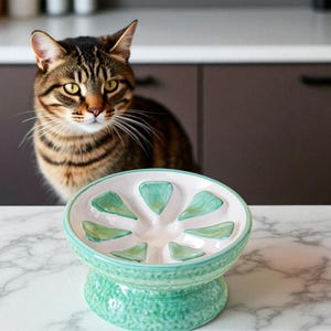 May include: A ceramic cat food bowl with a light green base and a white interior with light green petal-shaped sections. A brown tabby cat is in the background, looking at the bowl. The bowl is on a white marble surface.
