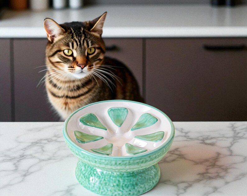 May include: A ceramic cat food bowl with a light green base and a white interior with light green petal-shaped sections. A brown tabby cat is in the background, looking at the bowl. The bowl is on a white marble surface.