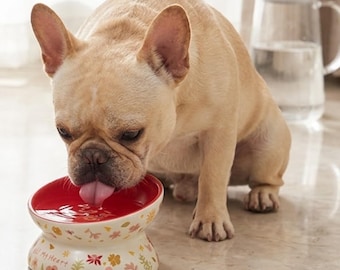 Comedero elevado de cerámica para mascotas: comedero ergonómico inclinado para perros y gatos