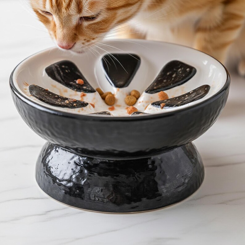 May include: A black and white ceramic cat bowl with a unique design. The bowl has a raised base and a rim with a white interior. The interior features black, petal-shaped sections. The bowl is filled with cat food, and a ginger cat is eating from it.