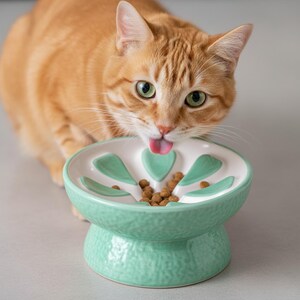 May include: A ginger cat with green eyes laps from a mint green ceramic cat bowl. The bowl has a raised base and a floral design in white and mint green. The bowl is filled with dry cat food.