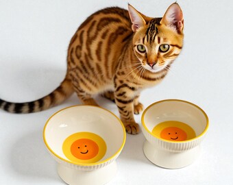 Hand-Painted Ceramic Elevated Cat Bowl: Tilted Anti-Vomit Pet Dish