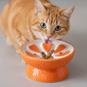 May include: An orange and white ceramic cat bowl with a unique design. The bowl features a raised base and a rim with orange petal-shaped cutouts. The bowl is filled with cat food, and a ginger cat is shown eating from it.