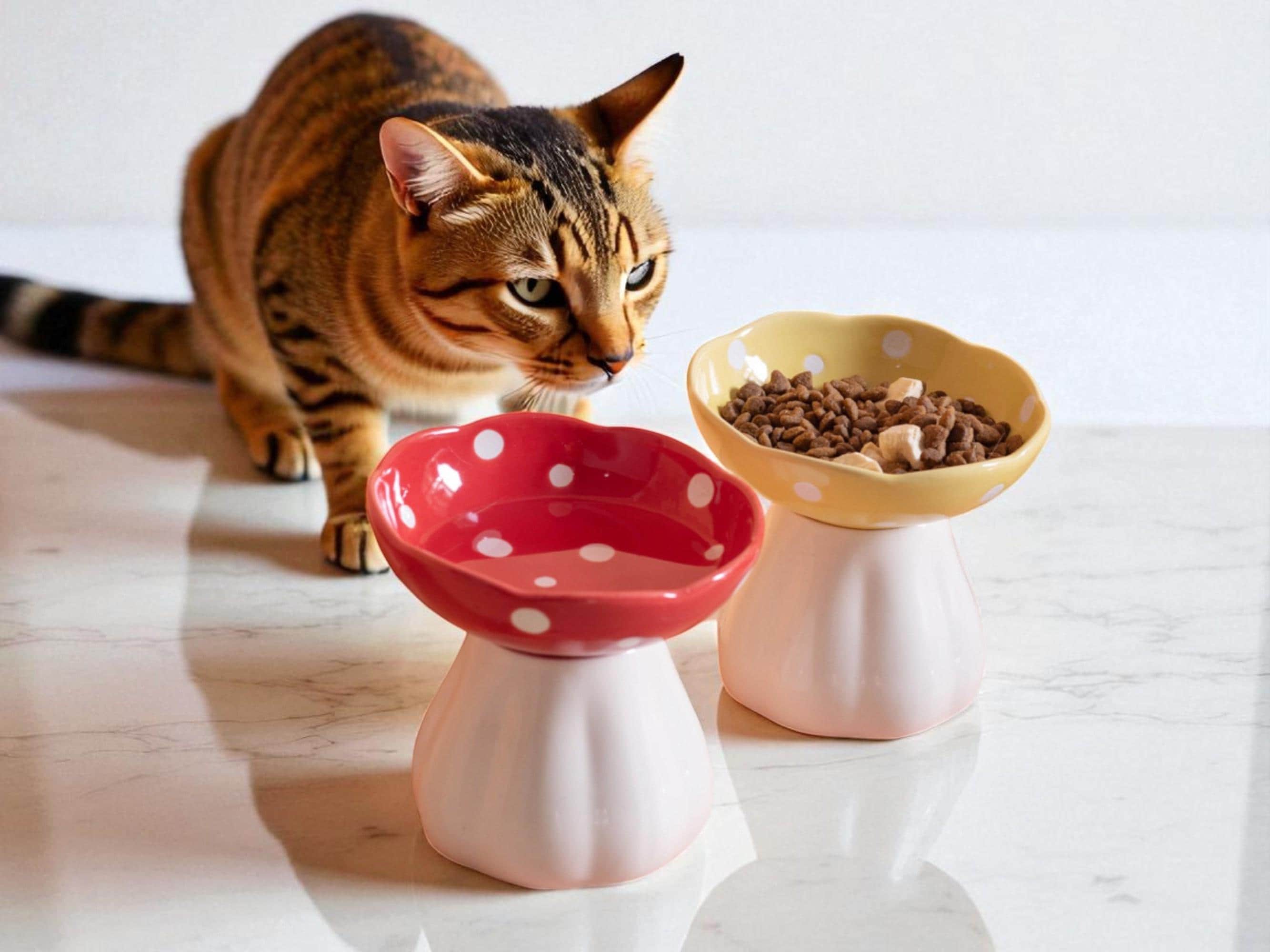 Elevated Ceramic Mushroom Cat Bowl: Whisker & Neck Relief, Non-Slip and Dishwasher Safe