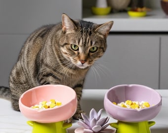 Comedero de cerámica inclinado para gatos: comedero elevado ergonómico para mascotas