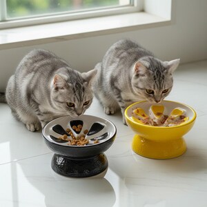 May include: Two gray tabby cats eating from ceramic pet bowls. One bowl is black and white, the other is yellow and white. The bowls have a unique design with raised sections to slow down eating.
