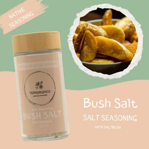 May include: A glass jar with a wooden lid filled with a light brown salt seasoning. The label reads "Australian Native Seasoning" and "Bush Salt with Saltbush". The jar is sitting on a peach coloured background with a close-up of golden brown potato wedges in a white bowl.