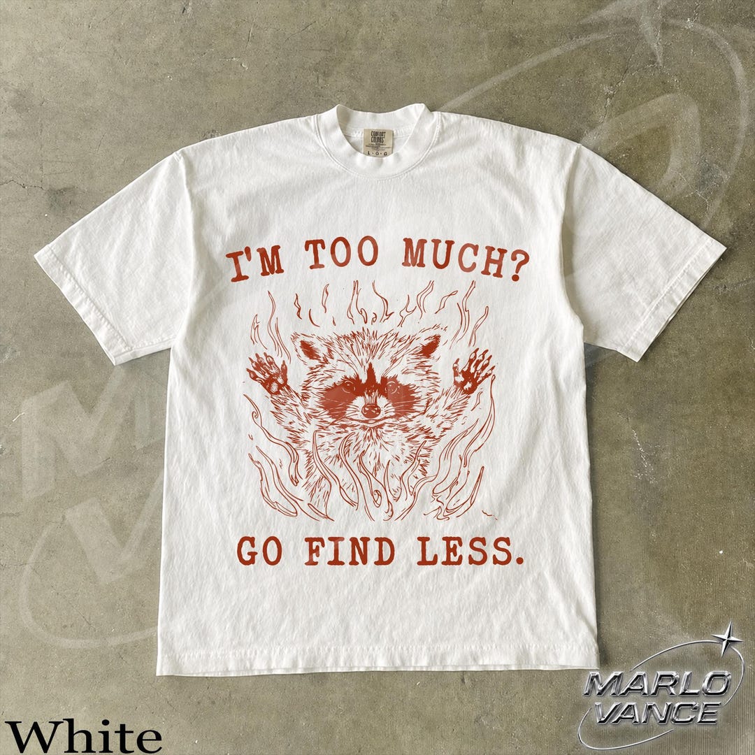 Funny Raccoon Shirt, Sarcastic Boundaries and Self Worth, Comfort ...