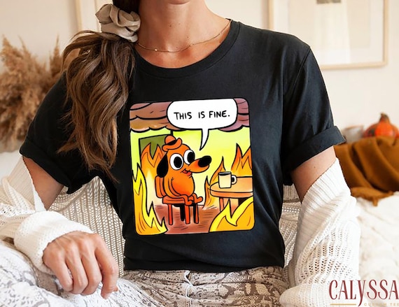 This Is Fine Meme Shirt, Gen Z Humor Sweatshirt, Burnout Humor Hoodie, Sarcastic Mental Health Gift for Men Women