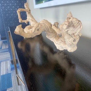 Könnte beinhalten: Ein hellbrauner, knorriger Ast aus Holz mit einer einzigartigen Form, der auf einem schwarzen Tisch mit glänzender Oberfläche liegt.
