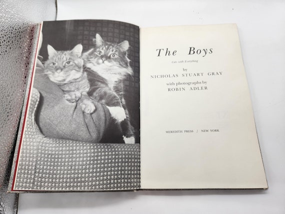 Vintage Cat Photography Book: The Boys by Nicholas Stuart Gray, 1968 1st Edition