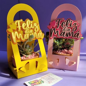 MINI SUCULENT BOX