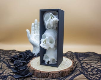 Gothic Skull Book Nook Insert - Macabre Anatomical Sculpture, Gothic Desk Accessory, Oddities & Curiosities Decor