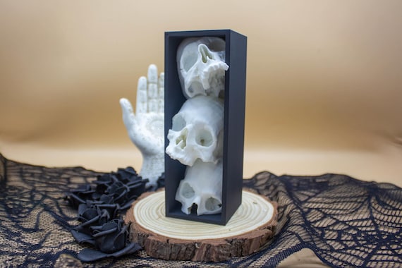Gothic Skull Book Nook Insert - Macabre Anatomical Sculpture, Gothic Desk Accessory, Oddities & Curiosities Decor