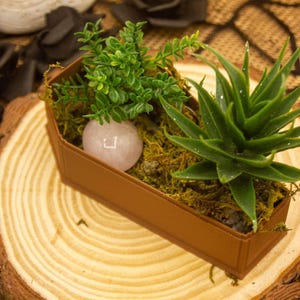 Gothic Coffin-Shaped Display Box with Lid for Crystals and Jewelry