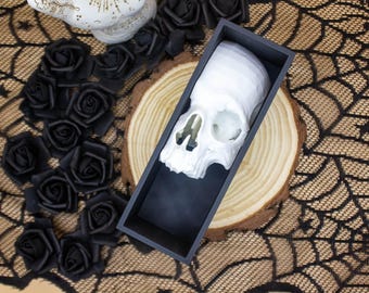 Skull Book Nook - Macabre Anatomical Sculpture, Gothic Desk Accessory, Oddities & Curiosities Decor