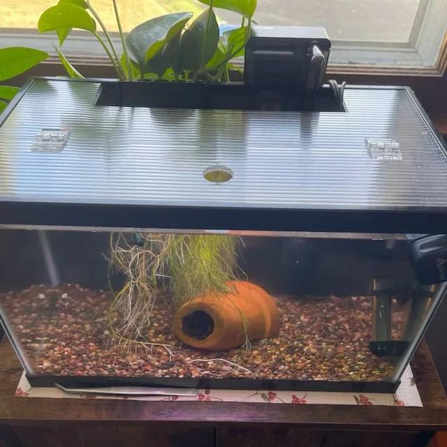 2.5 gallon aquarium hood hotsell